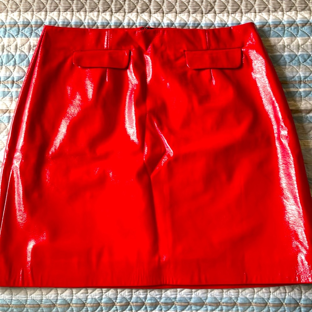 ALEXA CHUNG Mini Skirt